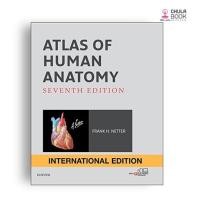ราคา ATLAS OF HUMAN ANATOMY (IE) - Ed.7/2019 9780323393218 (12602782314)