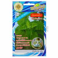 ราคา เมล็ดต้นแคทนิป (สมุนไพรแมว) (26930466066)