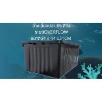 ราคา อ่างเลี้ยงปลา 65 ลิตร อ่างเปล่าสีดำ 64x44x31ซ. อ่างปลากัด อ่างปลาสวย กะบะเลี้ยงปลา อ่างเลี้ยงปลา อ่าง ปลาอ่างปลาบอลลูน (49905419542)