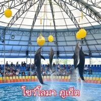 ราคา Online Ticket บัตรเข้าชม Dolphins Bay Phuket โชว์โลมาภูเก็ต (55300047436)
