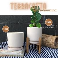 ราคา กระถางต้นไม้ทรงกระบอกสไตล์โมเดิร์น ขนาด 6 นิ้วพร้อมจานรอง สวย เนื้อกระถางเนียน ระบายน้ำดี ขายดีมาก (22914161984)