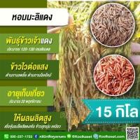ราคา เมล็ดพันธุ์​ข้าว ข้าวเจ้า หอมมะลิแดง หอมแดง ไวแสง หอม เหนียวนุ่ม สารต้านอนุมูลอิสระสูง 15 กก. คูลเกษตร ไรซ์ KR63 (25625723929)
