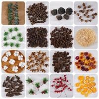 ราคา ชุดวัสดุธรรมชาติ DIY - ลูกสน+ดอกไม้แห้ง สำหรับแต่งห้องเรียน/งานแบบโมริ (43608295953)