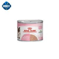 ราคา Royal Canin Mother & Baby Cat 1 กระป๋อง (195 กรัม/กระป๋อง) อาหารเปียก อาหารแมว มูสนิ่ม สำหรับลูกแมวและแม่แมว (11720037696)