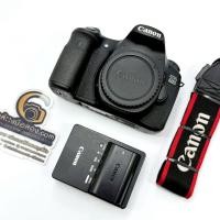 ราคา Canon EOS 60D Body #เมนูENG #ชัตเตอร์23xxx [รับประกัน 1 เดือน] (43778784244)