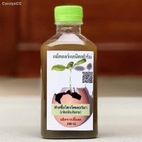 ราคา HOT﹊ ไตรโคเดอร์มา Trichoderma เชื้อราไตรโคเดอร์มา กำจัดโรคเชื้อรา หัวเชื้อไตรโคเดอร์มา เข้มข้นพิเศษ 200 cc. (13028386440)
