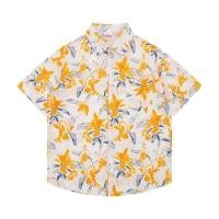 ราคา Eershenshi เสื้อเชิ้ตแขนสั้นชาย เสื้อเชิ้ตฮาวายชายหาด เสื้อเชิ้ตแขนสั้น (29026400900)