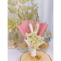 ราคา ดอกไม้แห้งช่อดอกไม้จิ๋ว / ดอกไม้แห้ง / ช่อดอกไม้จิ๋ว เอเดลไวส์ / ช่อดอกไม้จิ๋ว (52756848711)