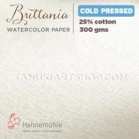 ราคา Britannia Hahnemuhle CP/HP กระดาษสีน้ํา (300gsm/ สําลี 25%) (22464497771)