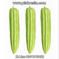 ราคา โมเดล มะระปลอม เนื้อเรซิ่น ลูกละ 320 บาท ขนาด กว้าง 6 ยาว 29.5 cm (6916889260)