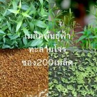 ราคา เมล็ดพันธุ์ฟ้าทะลายโจร 200 เมล็ด (8950880866)