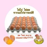 ราคา ไข่ไก่จากแม่ไก่อารมณ์ดี ไข่ไก่ปลอดสารพิษ100% สดใหม่ สะอาด (30ฟอง)สั่งครั้งล่ะ1แผงเท่านั้น (11205775389)