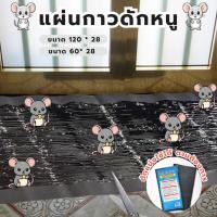 ราคา HomeDee แผ่นกาวดักหนู กาวดักหนู ไม่มีพิษ ไม่มีกลิ่น ไม่แห้ง กาวดักหนูสำเร็จรูป เหนียว (21895124919)