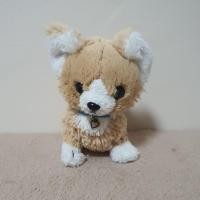 ราคา [พร้อมส่ง] Sunlemon PUPS! // Chihuahua Beige // ‍ตุ๊กตาลูกสุนัขชิวาว่า สีเบจ ไซส์เล็ก ‍ // ขนาด 15 cm. (41420350861)