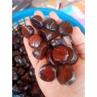 ราคา ลูกเนียงนกแกะเม็ด500กรัม (17294062780)