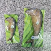 ราคา ปลาทูแมวฟิน หมอนปลาทู (440394272)