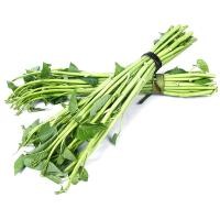 ราคา 200 เมล็ด เมล็ด ผักบุ้ง ผักทอดยอด กำจร Convolvulaceae Seeds สายพันธุ์ ผักบุ้งไทย (29742787081)