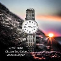 ราคา Citizen Eco Drive พร้อมกล่อง มีใบรับประกัน (23978187328)