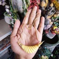 ราคา สร้อยคองาช้าง******* (49656813937)