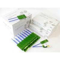 ราคา NT Clear Varnish-Clean แบบแพค 5 ชิ้น ฟลูออไรด์ วานิช พร้อมพู่กัน (28425596084)