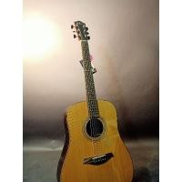 ราคา กีต้าร์โปร่ง Mayson Luthier series D5C (9807763747)