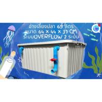 ราคา อ่างเลี้ยงปลา 65 ลิตร อ่างขาวท่อฟ้า ระบบระบายน้ำดูดบนดูดล่าง 64x44x31ซ. อ่างปลาบอลลูน อ่างปลา อ่างปลาสวย กะบะเลี้ยงปลา (51854449426)