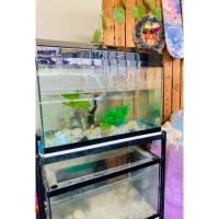 ราคา ตู้ปลา 2 ชั้น มือสองพร้อมขาตั้ง กว้าง 30“ สูง 19 “ หนา 16” แนวทะแยง 39” (22373241119)