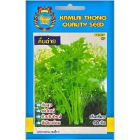 ราคา เมล็ดพันธุ์คื่นฉ่าย ตรากำไลทอง (28181262215)