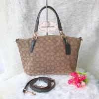 ราคา พร้อมส่ง✨Coach F58283✨พัดผ้า เล็ก 13"✨ (977156831)