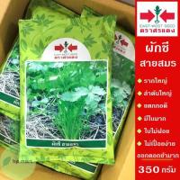 ราคา เมล็ดพันธุ์ ผักชี สายสมร 350 กรัม ตราศรแดง ราก-ลำต้นใหญ่ แตกกอดี ไม่เปื่อยง่าย ออกดอกช้ามาก เมล็ดผักชีสารสมร ผักชีสายสมร (7157839623)