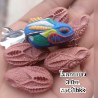 ราคา โมลทำกบยางA8ขนาด3.0ซ. (26385435401)