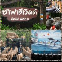 ราคา บัตร ซาฟารีเวิลด์​ Zone Marine Park (6544060377)