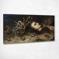 ราคา Head Of Medusa Peter Paul Rubens, ppr84 ภาพพิมพ์บนผ้าใบแคนวาส (27134765447)