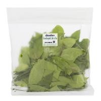 ราคา ผักเหลียง Melindjomale Specimen [หมายเลขบาร์โค้ด 0000037157029 ] สินค้าคุณภาพดี คัดสรรอย่างตั้งใจ (47653185005)