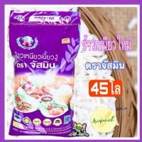 ราคา ข้าวเหนียวเขี้ยวงูใหม่ตราจัสมินถุง 45 กก. (41476624835)