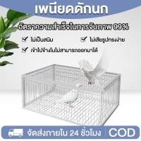 ราคา เพนียดดักนก กรงดักนก กรงกับดักนกพิราบ กรกดักนกเขา กรงนกพิราบ ที่ดักนก กรงนกทางเดียว กรงต่อนก (41455279903)