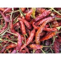 ราคา พริกแห้ง เม็ดใหญ่ เม็ดเล็ก ทำพริกแกงต่างๆ (25574955611)