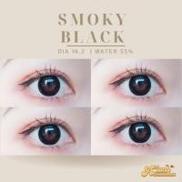 ราคา เลนส์เหมือนไม่ใส่ คอนแทคเลนส์ รุ่น smoky black (124438744)