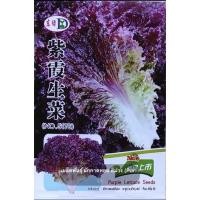 ราคา เมล็ดพันธุ์ ผักกาดหอม สีม่วง (Purple Lettuce Seed) บรรจุ 1500 เมล็ด (53656722959)