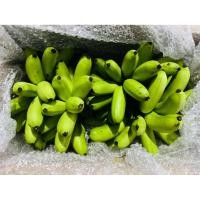 ราคา กล้วยไข่กำแพงเพชรแบบดิบ1กล่อง (41311883738)