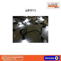 ราคา ไฟดาว ไฟประดับ AKG LED 40ดวง รูปดาว สายดำ (8702245954)