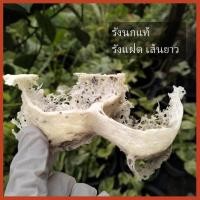 ราคา รังนกแท้ รังนกดิบ รังนกแฝด รังแฝด รังนกนางแอ่น รังนกธรรมชาติ (25588432334)