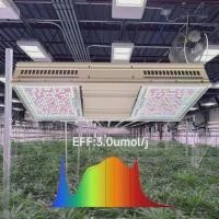 ราคา Red And Blue Grow Lights HPS Replacement Veg Bloom Indoor Grow Light Plants Samsung Commercial Led (48006185358)