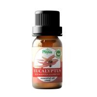 ราคา Natural Efe/ Essential Oil | Eucalyptus Oil 10ml (24873793004)
