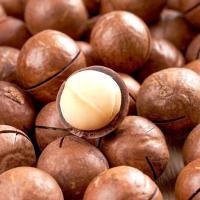 ราคา ถั่วแมคคาเดเมียอบเนย 1 Kg ถั่วมะคาเดเมีย Macadamia​ (25782104592)