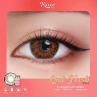 ราคา คอนแทคเลนส์✨ขนาดบิ๊กอายโตมาก✨ look fresh สี : Brown / Gray สวยมาก (26731279778)