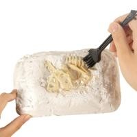 ราคา ชุดขุดฟอสซิลไดโนเสาร์ (55854711574)