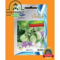 ราคา มะเขือเปราะจาว (เจียไต๋) 1 กรัม (6034700855)