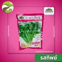 ราคา เมล็ดพันธุ์ ผักชี รสทิพย์ ตรา ตะวันต้นกล้า ลอตใหม่ 300 กรัม (23167073394)