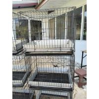 ราคา กรงมือสอง ฐานล้อเลื่อน ที่กั้นฉี่ กรงกระต่าย (47754203407)